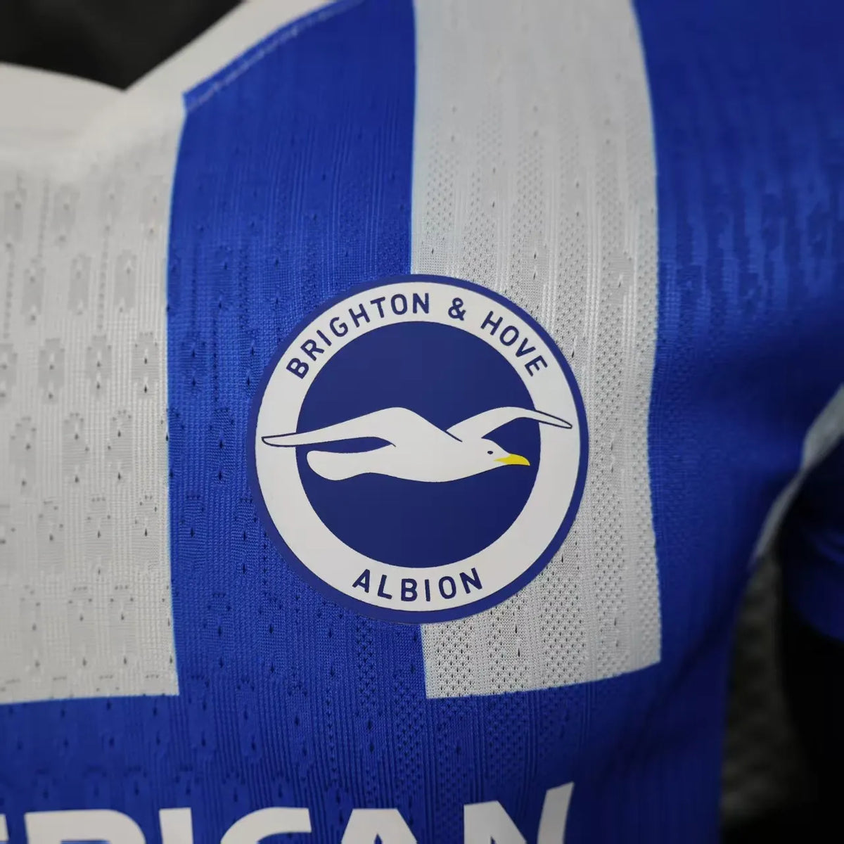 Player Version 25-26 Brighton Hove Albion Home Jersey
