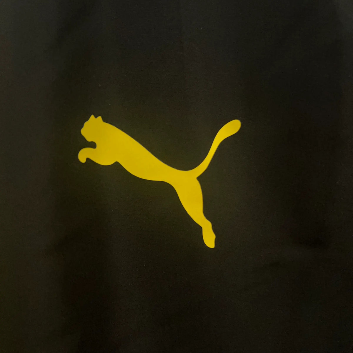 24-25 Dortmund BVB Black Windbreaker