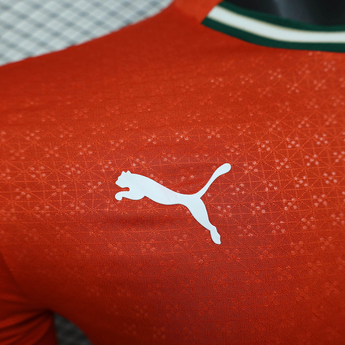 Authentic Puma Soccer Jersey Portugal Home Shirt Long Sleeve 2025