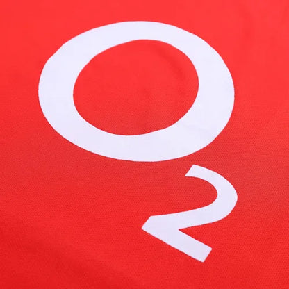 02-04 Arsenal Bergkamp #10 Retro Jersey Home