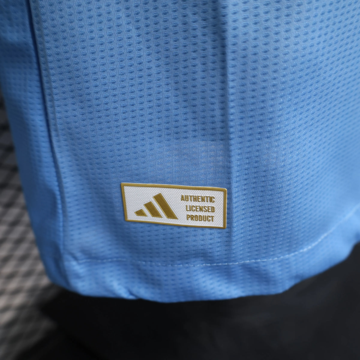 Player Version 25-26 Real Madrid Blue Goalkeeper Jersey