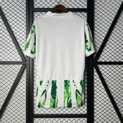 2025 Nigeria Home Jersey