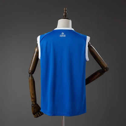 Bahia 26-27 Away Vest Jersey