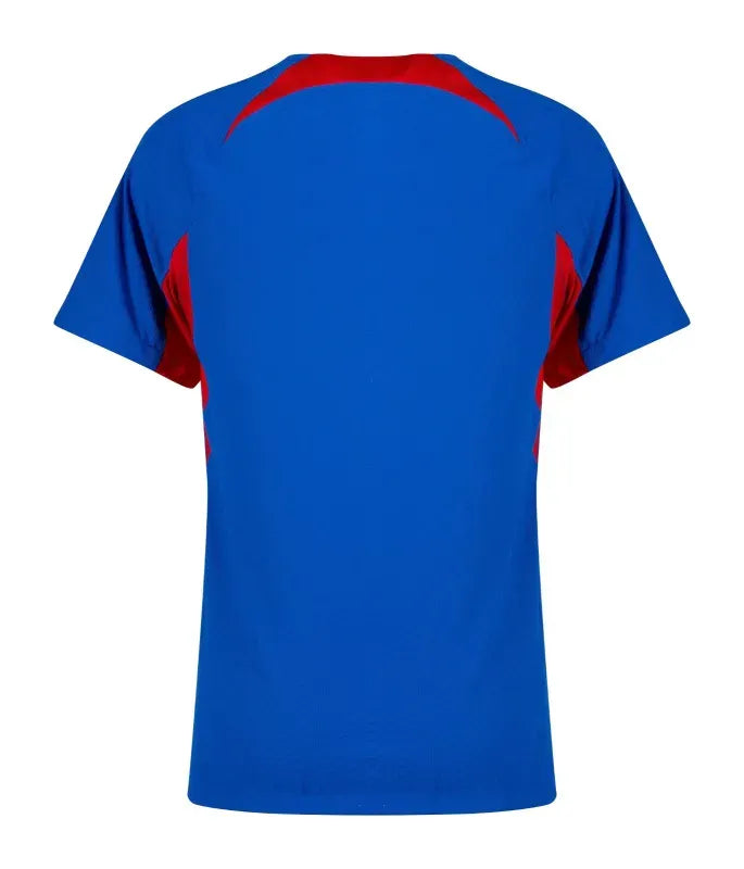 Nike Slovakia Home Jersey Euro 2024